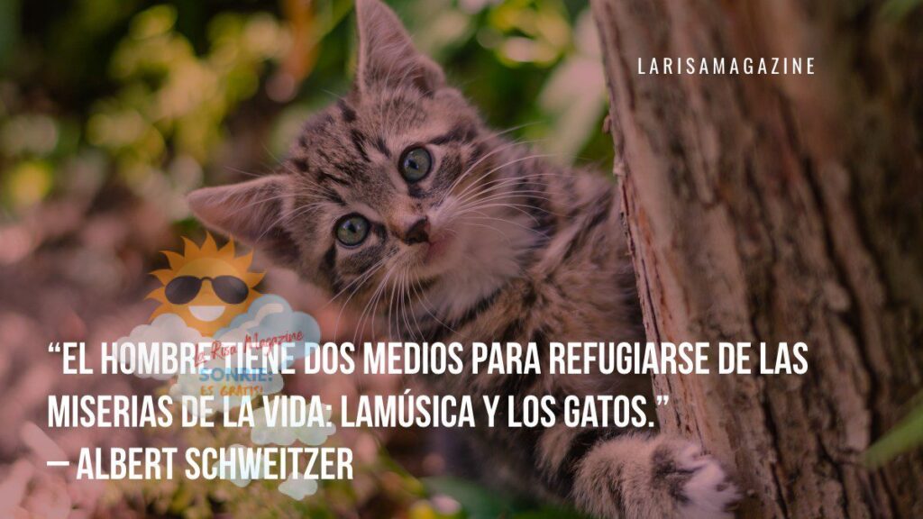 Misterios de la vida