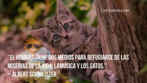 Misterios de la vida