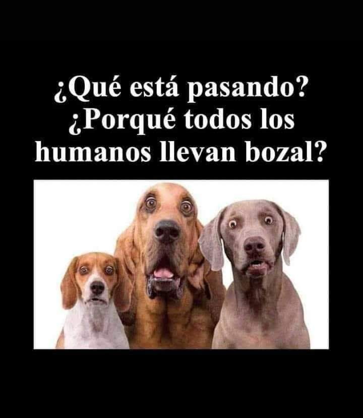 que apsa con el coronavirus