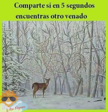 encuentralo