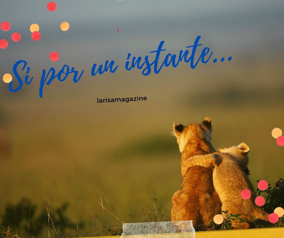Si por un Instante