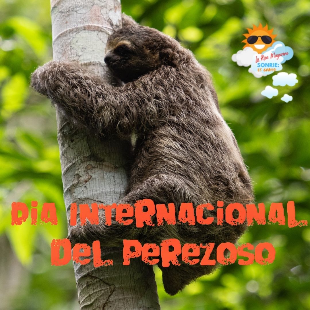 Perezosos