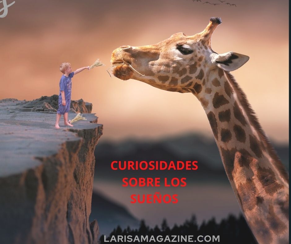 Datos y Curiosidades sobre los sueños
